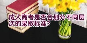 成人高考是否会划分不同层次的录取标准？