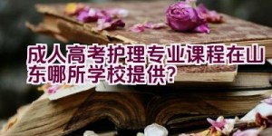 成人高考护理专业课程在山东哪所学校提供？