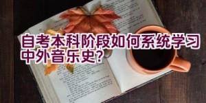 自考本科阶段如何系统学习中外音乐史？