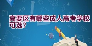 高要区有哪些成人高考学校可选？