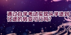 通过自学考试实现从学途到仕途的转变可行吗？