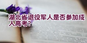 湖北省退役军人是否参加成人高考？