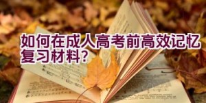 如何在成人高考前高效记忆复习材料？