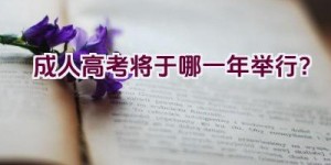 成人高考将于哪一年举行？