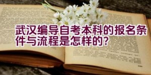 武汉编导自考本科的报名条件与流程是怎样的？