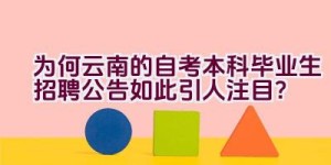 为何云南的自考本科毕业生招聘公告如此引人注目？