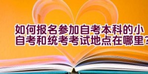 如何报名参加自考本科的小自考和统考考试地点在哪里？