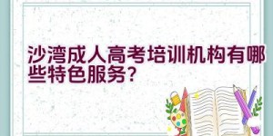 沙湾成人高考培训机构有哪些特色服务？