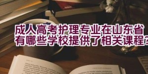 成人高考护理专业在山东省有哪些学校提供了相关课程？