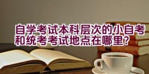 自学考试本科层次的小自考和统考考试地点在哪里？