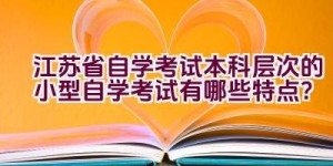 江苏省自学考试本科层次的小型自学考试有哪些特点？