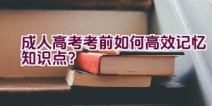 成人高考考前如何高效记忆知识点？