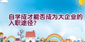 自学成才能否成为大企业的入职途径？