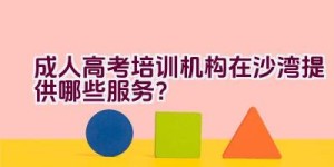 成人高考培训机构在沙湾提供哪些服务？