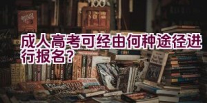 成人高考可经由何种途径进行报名？