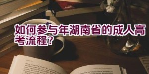 如何参与2021年湖南省的成人高考流程？