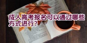 成人高考报名可以通过哪些方式进行？