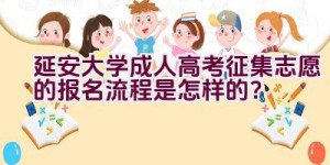 延安大学成人高考征集志愿的报名流程是怎样的？