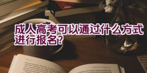 成人高考可以通过什么方式进行报名？