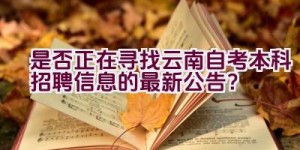 是否正在寻找云南自考本科招聘信息的最新公告？