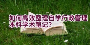 如何高效整理自学行政管理本科学术笔记？