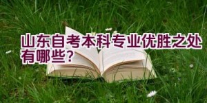 山东自考本科专业优胜之处有哪些？