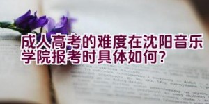 成人高考的难度在沈阳音乐学院报考时具体如何？