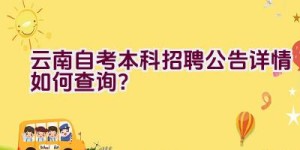 云南自考本科招聘公告详情如何查询？