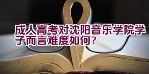 成人高考对沈阳音乐学院学子而言难度如何？