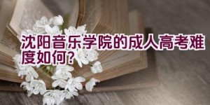 沈阳音乐学院的成人高考难度如何？