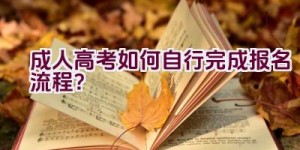 成人高考如何自行完成报名流程？