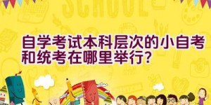 自学考试本科层次的小自考和统考在哪里举行？