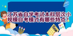 江苏省自学考试本科层次小规模自考模式有哪些特点？