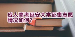 成人高考延安大学征集志愿情况如何？