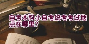 自考本科小自考统考考试地点在哪里？