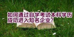 如何通过自学考试本科学历成功进入知名企业？