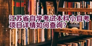 “江苏省自学考试本科小自考项目详情如何查询？”