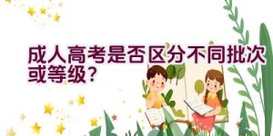 成人高考是否区分不同批次或等级？