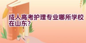 成人高考护理专业哪所学校在山东？