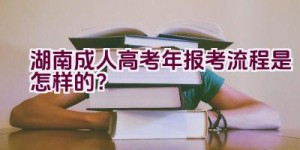 湖南成人高考2021年报考流程是怎样的？