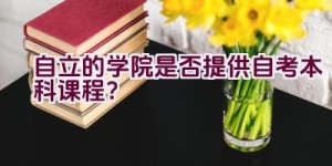 自立的学院是否提供自考本科课程？