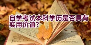 自学考试本科学历是否具有实用价值？