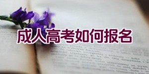 成人高考如何报名