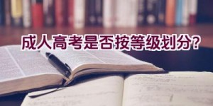 成人高考是否按等级划分？