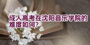 成人高考在沈阳音乐学院的难度如何？