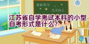 江苏省自学考试本科的小型自考形式是什么？