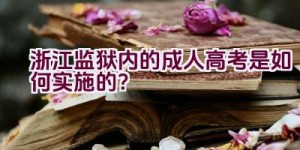 浙江监狱内的成人高考是如何实施的？