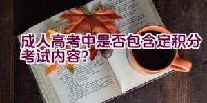 成人高考中是否包含定积分考试内容？