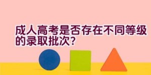 成人高考是否存在不同等级的录取批次？