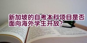 新加坡的自考本科项目是否面向海外学生开放？